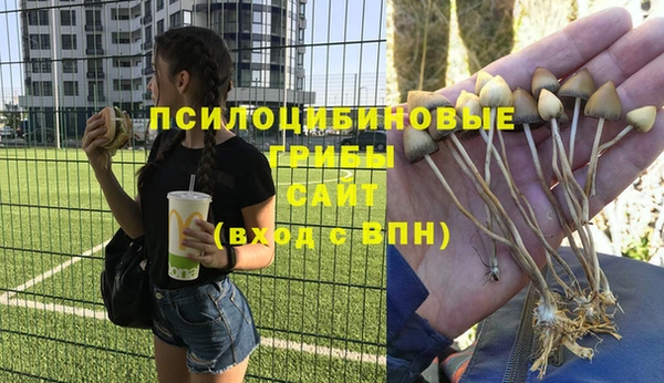 соль курить ск Кинешма