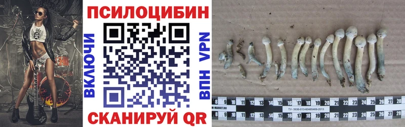 Купить закладки  Реутов  Галлюциногенные грибы MAGIC MUSHROOMS 